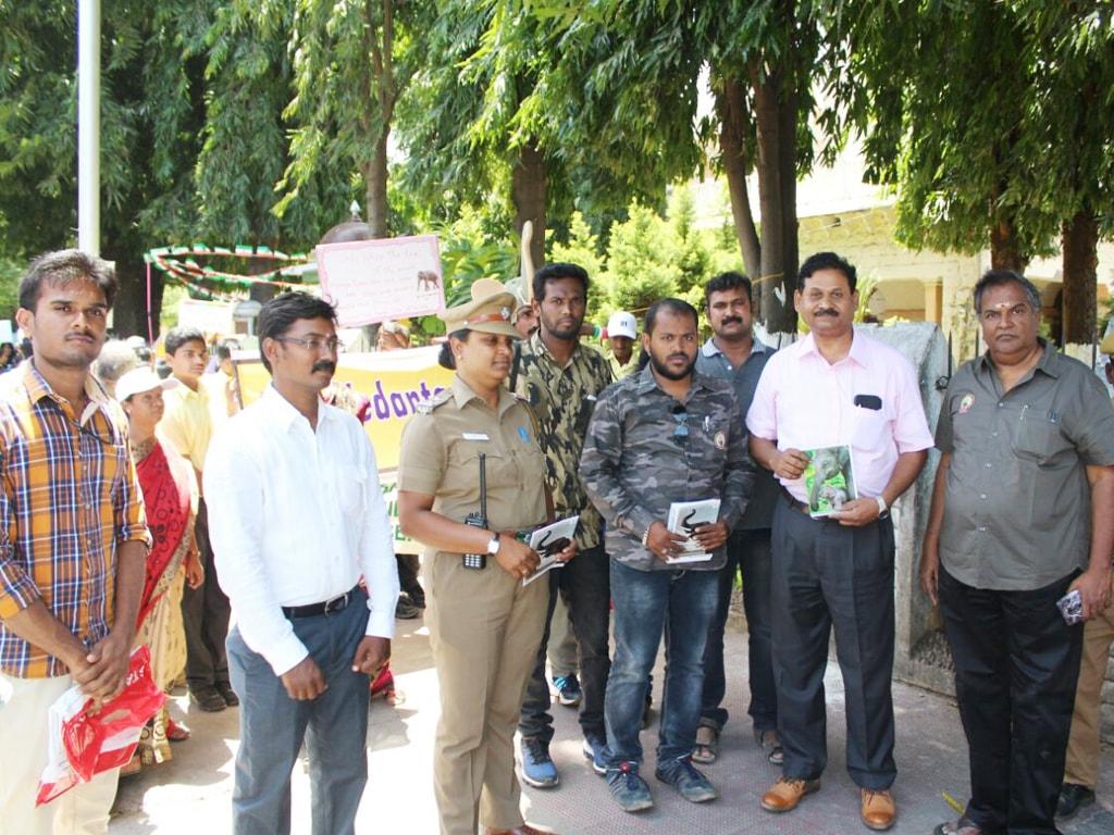 save-elephant-book-release