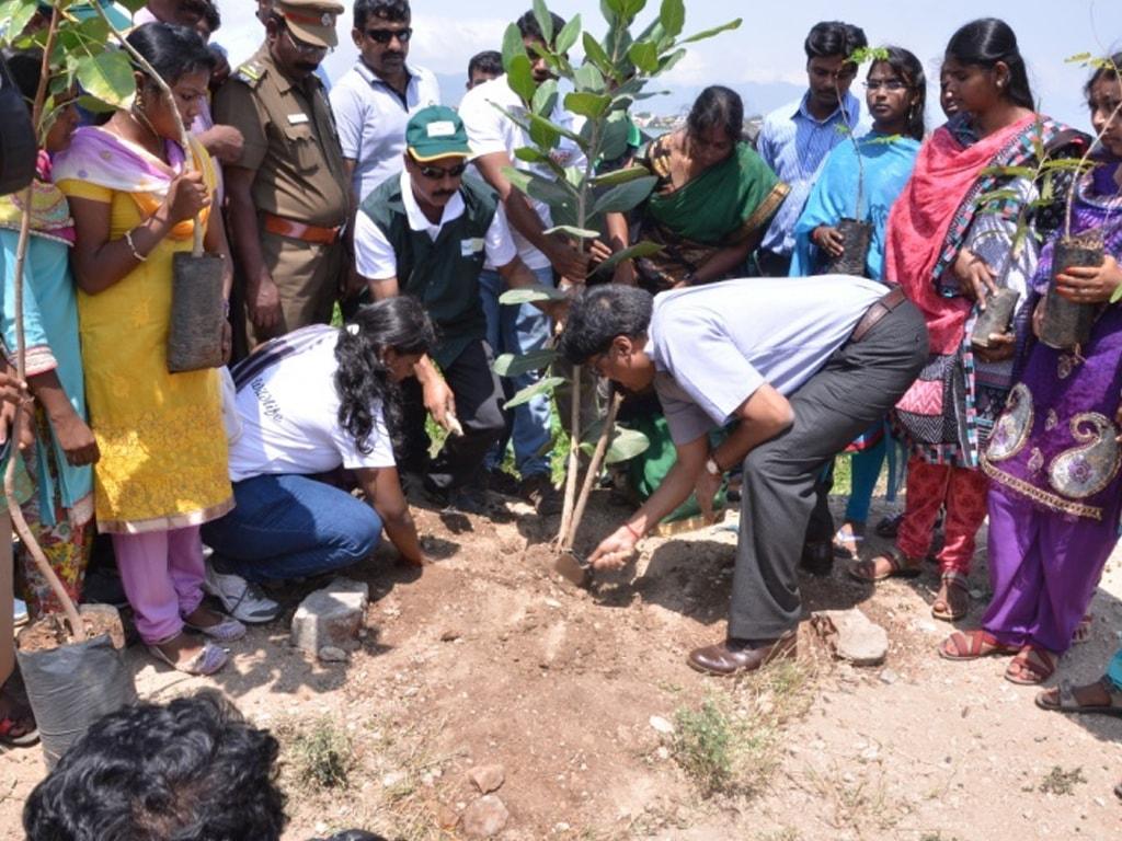 youth-red-cross-tree-planting